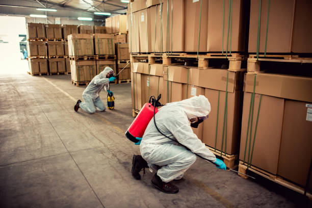 Best Pest Inspection Near Me  in Clarksville, TX