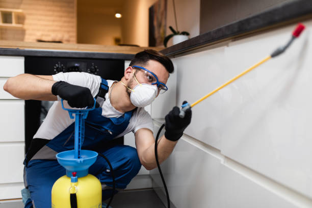 Best Pest Control Near Me in Clarksville, TX