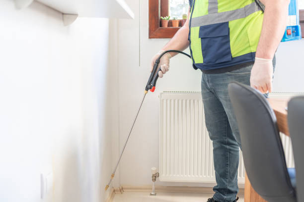 Best Termite Control Services  in Clarksville, TX