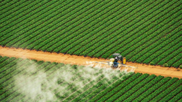 Professional Pest Control in Clarksville, TX