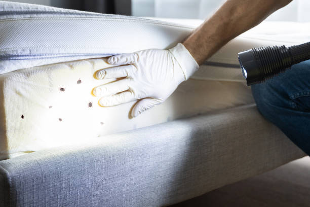 Best Pest Control Near Me  in Clarksville, TX